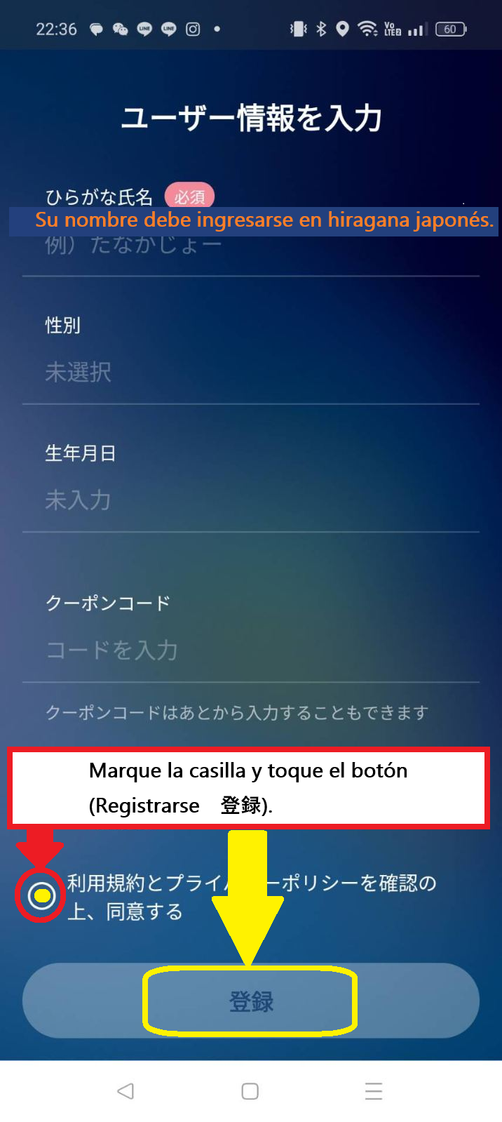 Imagen de explicación de la pantalla de ingreso del código de verificación